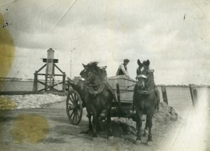 France Horses Cart Study Farming Old Photo 1900