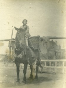 France Woman Peasant on Horse Farming Study Old Photo 1900