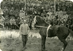 France Paris First World War on the Front Circus Dressage Horse WWI Photo 1917