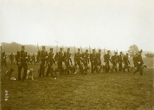 France Paris Longchamp Bastille Day Parade Sanitary Dogs Old Photo 1913