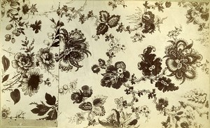 France Portfolio of Antique Botanical Fabrics 37 Old Photos Guerinet 1880