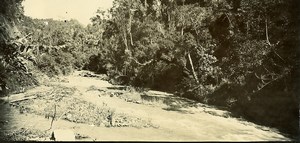 Madagascar In the Forest of Manuraka? Old Photo Ramahandry 1910'