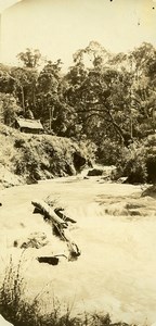 Madagascar Ampaisokely Forest River Old Photo Ramahandry 1910'