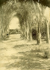 Madagascar Vohemar Old Photo Ramahandry 1910'