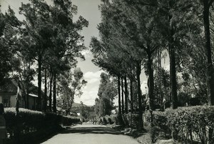 Madagascar Tananarive Arivonimamo l'Avenue Ancienne Photo 1950