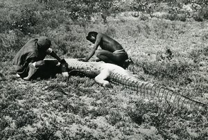 Madagascar Caiman hunting Alligator Old Photo 1950