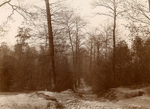 France Bois de Meudon Woods Forest Old Photo 1900