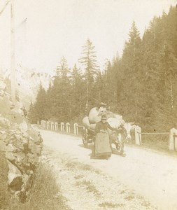 Switzerland or France Alps Ox Cart Mountain Road Old Photo 1900