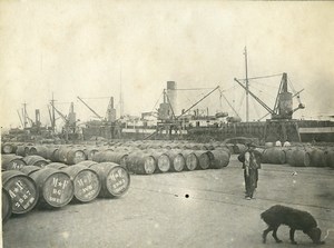 France Rouen Harbour Docks Barrels Dog Old Amateur Photo 1910