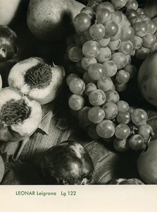 Publicité pour papier Agfa Leonar Leigrano 122 Nature Morte Fruits Ancienne Photo 1960