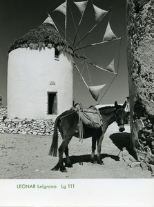 Publicité pour papier Agfa Leonar Leigrano Lg111 Mule Moulin a Vent Grec? Ancienne Photo 1960