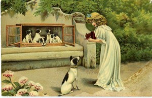 Carte postale Petite Photographe et ses chiens 1908