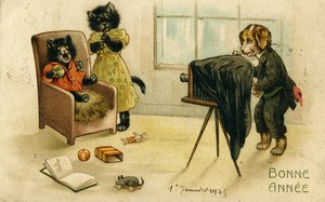 Carte postale ancienne le chien photographe et les chats 1925