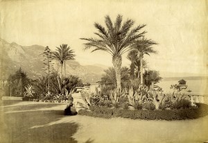 France Nice Garden Palm Trees Seaside old Photo 1880