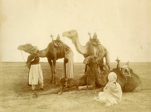 Algeria Bedouin? Camels in the Desert old Photo Bougault 1900