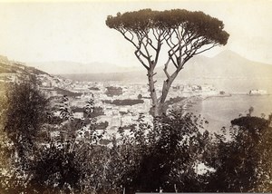 Italy Naples Napoli Panorama old Photo Giorgio Sommer 1870