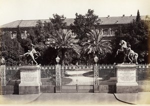 Italy Naples Napoli gardens old Photo Giorgio Sommer 1870