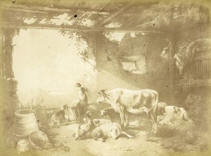 Germany Painting Artwork Animals in a Barn old Photo Albert 1855