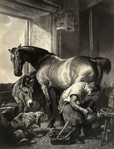 Germany Painting Artwork Blacksmith Farrier old Photo Albert 1855