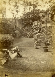 Algeria Algiers Alger Doctor Roussot Villa Garden old Photo 1890