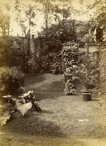 Algeria Algiers Alger Doctor Roussot Villa Garden old Photo 1890