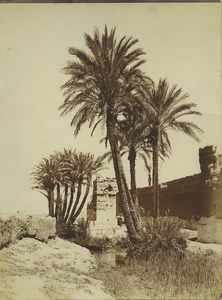 Morocco Marrakech City Wall Palm Trees Old Photo Felix 1915