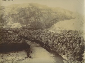 Algeria Oasis Djemmorah Oued Abdi Wadi Old Photo Emile Frechon 1900