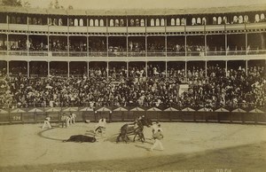 Spain San Sebastian Corrida de Toros Old Photo Neurdein 1890