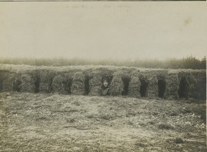 France WWI Somme Front Camouflage Shelter Old Photo 1918