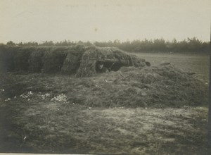 France WWI Somme Front Camouflage Shelter Old Photo 1918