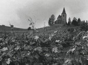 France Photographic Study Church Vineyard Old Deplechin Photo 1970