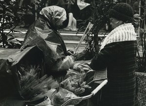 France Photographic Study Flower Seller Old Deplechin Photo 1970