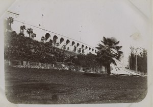 France Pau Boulevard des Pyrénées Palm Tree Arches Old Photo 1900