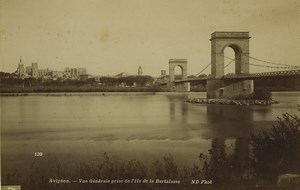 France Avignon view taken from Barthelasse Island Old Photo 1900