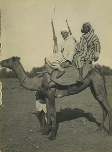 Algeria Daily life scene Men on a Camel Rifles Old Photo 1930