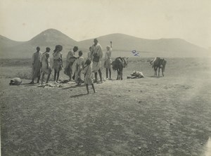 Algeria Countryside Daily life Men Children Group Mules Old Photo 1930