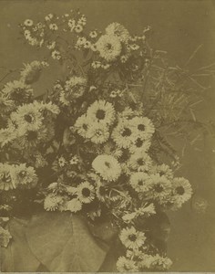 France Still Life Flower bouquet study Old Photo 1870