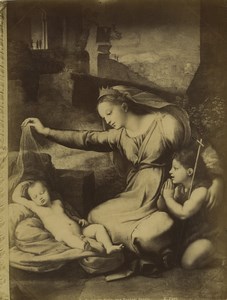 Louvre Museum Painting: Madonna with Blue Diadem Raphael Photo Neurdein 1890 #1