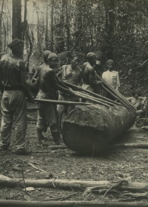 Africa Congo? Forest Workers Forestry Old Photo 1940's
