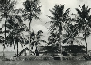Indonesia Seaside Huts Palm Trees study Old Photo Defossez 1970's