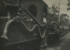 Africa Congo Train Logging Forestry Old Photo 1940's