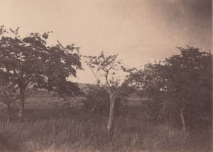 France Carrieres sous Poissy Countryside Study from Nature Old Photo 1866