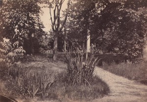 France Carrieres sous Poissy Countryside Study from Nature Old Photo 1863