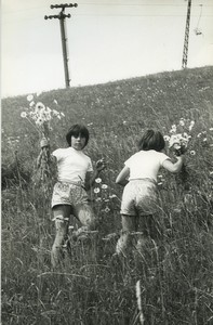 France Artistic Study Children in Field Flowers Old photo Huet 1970