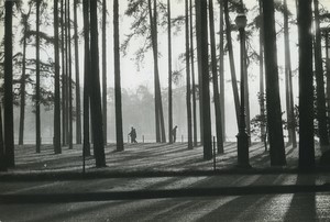 France Paris Autumn Bois de Boulogne Artistic Study Old photo Huet 1970 #1