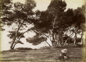 France Cannes Saint Honorat Island Old photo Neurdein 1880