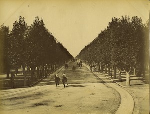 France Marseille the Prado Horses Old photo Neurdein 1880