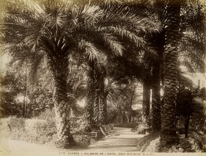 France Cannes Hotel Gray d'Albion garden Old photo Gilletta 1880