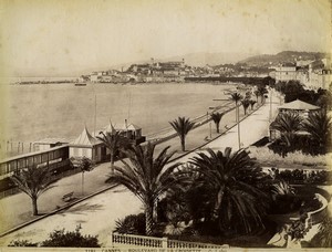 France Cannes Croisette avenue Old photo Gilletta 1880