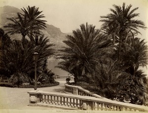 France Monte Carlo gardens Palm trees Old photo Gilletta 1880